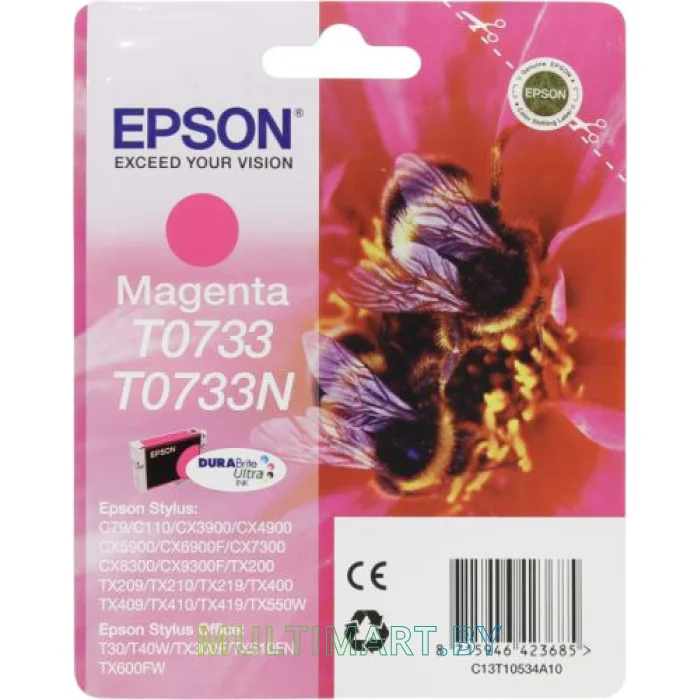 Картридж Epson C13T10534A10